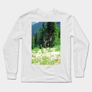 Berthoud Pass Tall Grass Long Sleeve T-Shirt